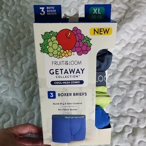 Boy's Fruit of the Loom Getaway Collection Boxer Briefs - Blue, Gray, Green